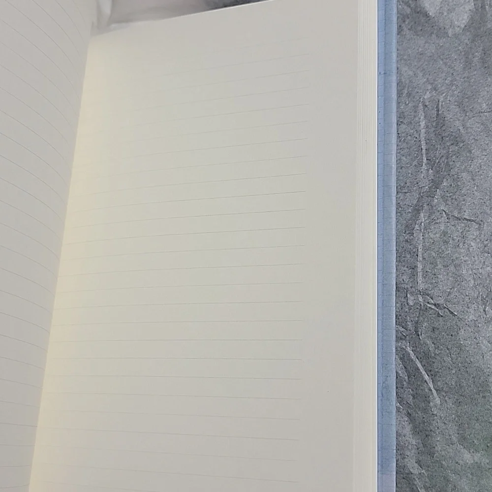 🍎 New Daphne's Diary Original Diary 240 Pages Lined Paper Writing Daily Journal